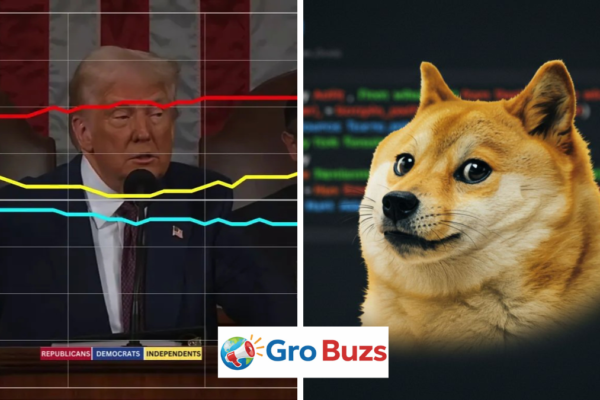 Doge Software Licenses Audit HUD
