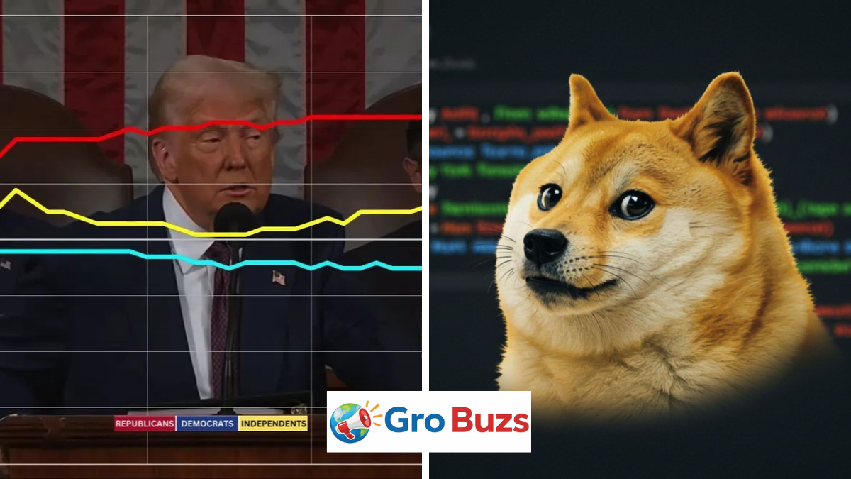 Doge Software Licenses Audit HUD